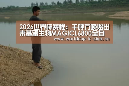 2026世界杯赛程:千呼万唤始出来基蛋生物MAGICL6800全自动化学发光测定仪隆重上市(图1) 世界杯直播